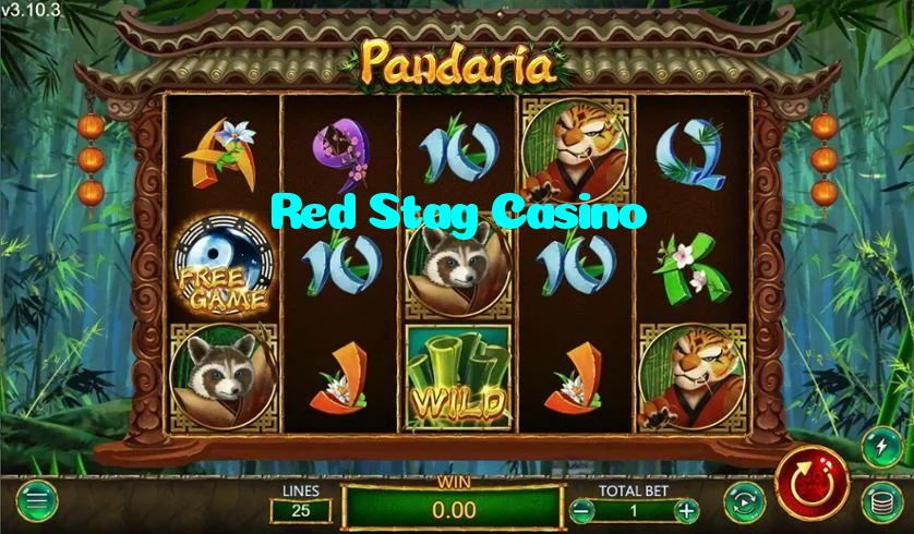 Red Stag Casino casino presented on mobile device in Pakistan with slots and live games